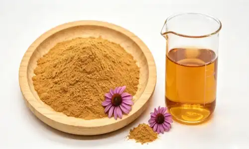 Echinacea Flower Extract Polyphenols Benefits for Modern Wellness Products